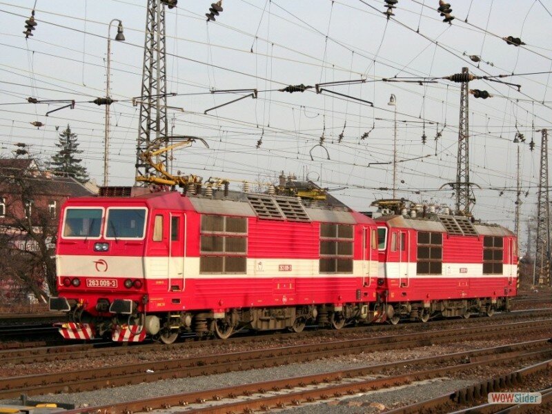 divizia-zkv-10